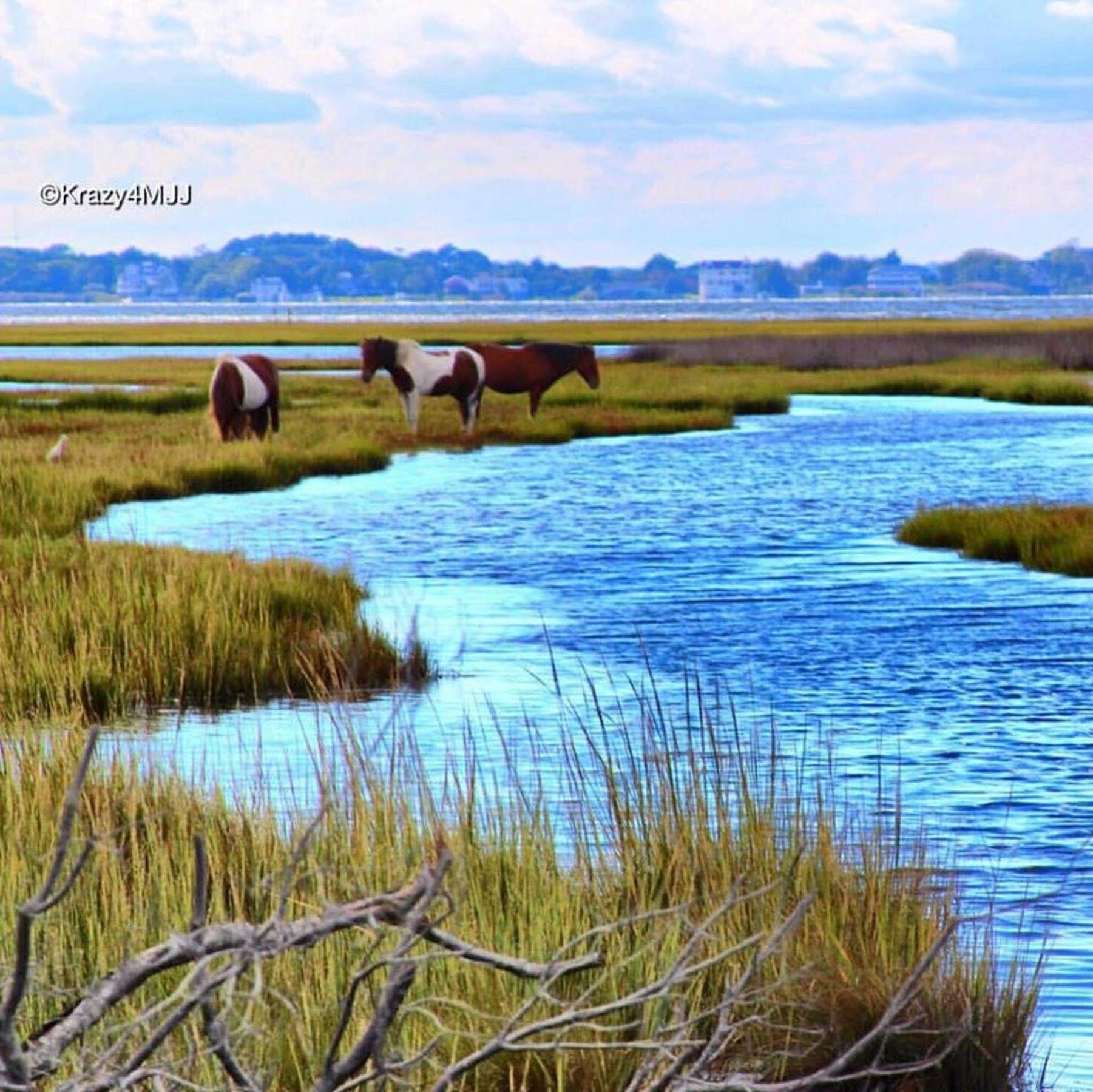 Snug Harbor Marina And Hotel Chincoteague Exterior photo